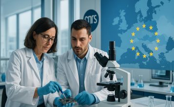 Le CNRS, premier du classement européen 2025 de la création de spin off