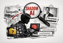 Shadow IT, Shadow AI, conformité : Seequalis et Avanoo bâtissent une offre intégrée