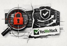 Dix ans après sa fondation, YesWeHack repositionne sa plateforme sur la gestion de l’exposition